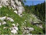 Rudno polje - Debeli vrh nad Lipanco